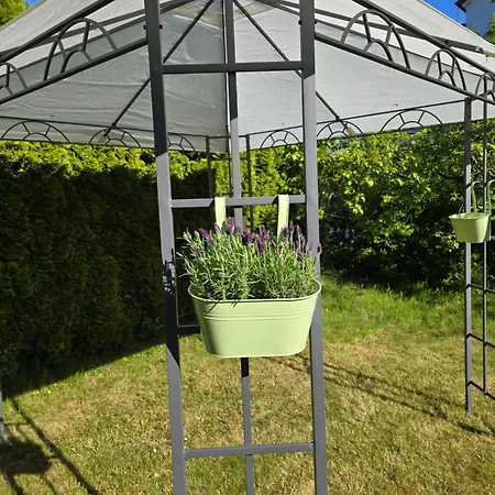 Azalia Ubytování v soukromí *