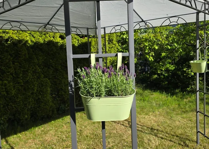 Azalia בית אירוח *